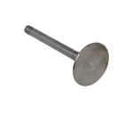 655866 Exhaust Valve