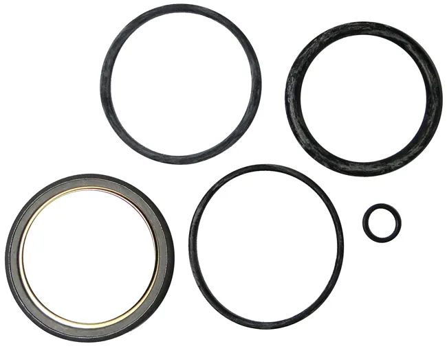 Trimcraft Beech B55 Main Strut Seal Kit