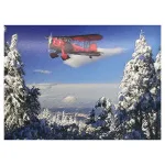 Red Biplane Winter Greeting Cards Box Of 12